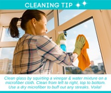 Window Cleaning Tip